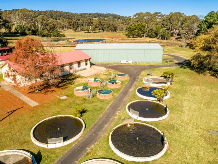 Media Release: Dutton Trout Hatchery re-opened to the public