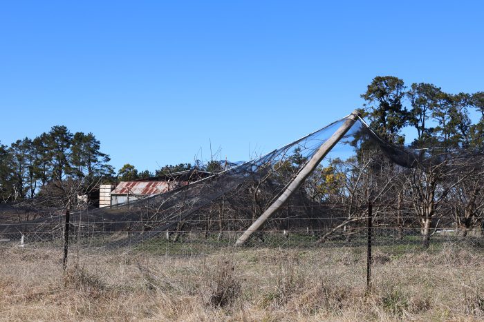 Media Release: Moylan makes urgent appeal to government in the wake of destructive snowstorm