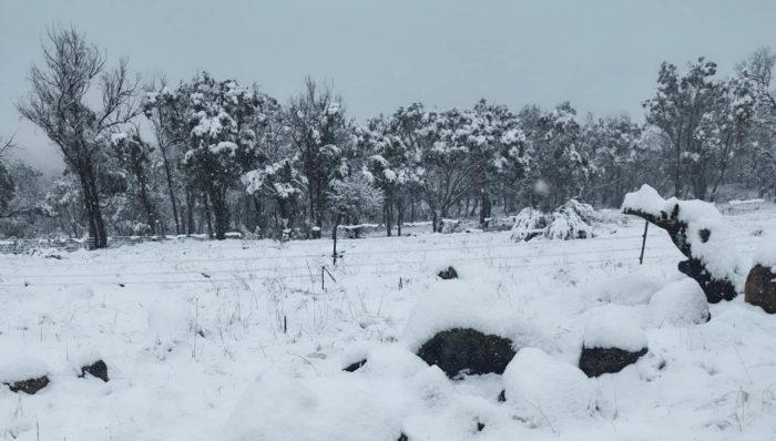Media Release: Disaster declaration extended to include Armidale