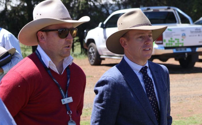 Media Release: Multi-million dollar revamp of regional saleyards unveiled