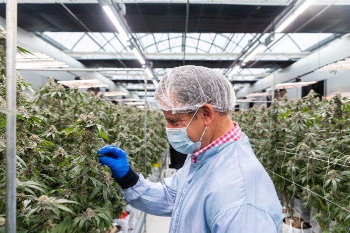 Media Release: New jobs land in Armidale thanks to funding injection