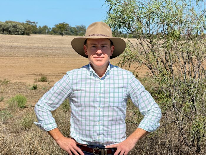 Regional NSW does not need another review into feral pigs