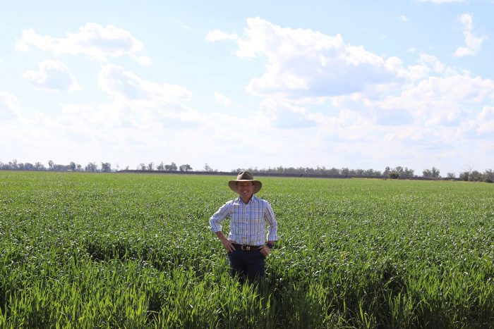 Government must protect Gwydir from further water buybacks